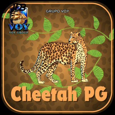 cheetahpg cheetahpg
