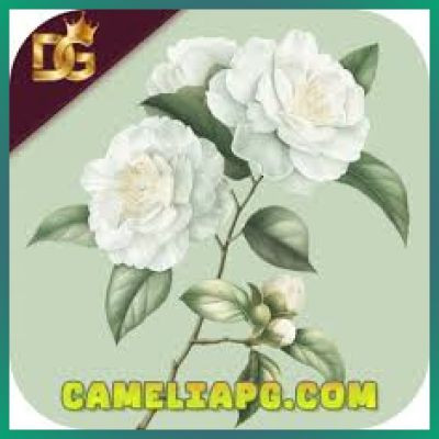cameliapg cameliapg